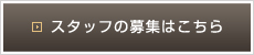 スタッフ募集はこちら