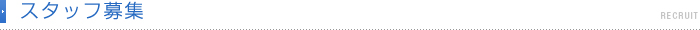 スタッフ募集